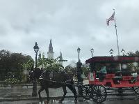 IMG_7125.JPG