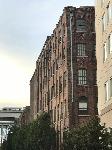 IMG_8230.JPG