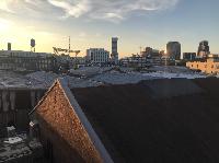 IMG_8495.JPG