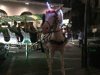 IMG_8775.JPG