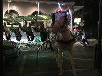 IMG_8776.JPG