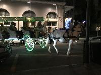 IMG_8783.JPG