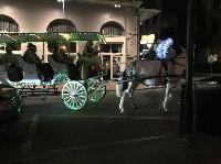 IMG_8784.JPG