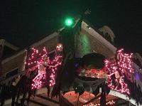 IMG_8801.JPG