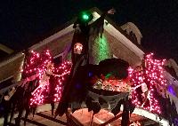 IMG_E8798.JPG