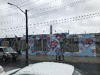 IMG_5507.JPG