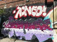 IMG_5787.JPG