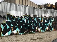 IMG_5949.JPG