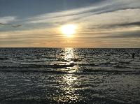 IMG_0095.JPG