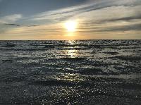 IMG_0303.JPG