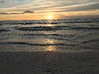 IMG_0553.JPG