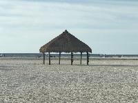 IMG_9647.JPG