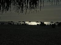 IMG_9677.JPG