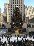 IMG_3536.JPG