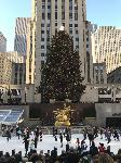 IMG_3538.JPG
