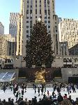 IMG_3539.JPG
