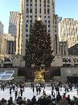 IMG_3540.JPG