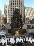 IMG_3542.JPG