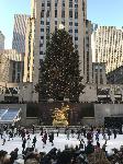 IMG_3543.JPG