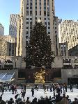 IMG_3545.JPG