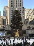 IMG_3546.JPG