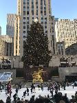 IMG_3547.JPG