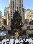 IMG_3550.JPG