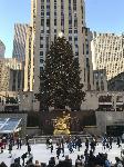 IMG_3553.JPG