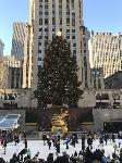 IMG_3554.JPG