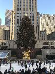 IMG_3555.JPG