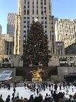 IMG_3556.JPG