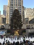 IMG_3558.JPG