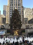 IMG_3559.JPG