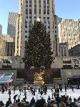 IMG_3560.JPG