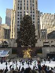 IMG_3561.JPG