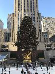 IMG_3564.JPG