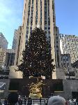 IMG_3572.JPG