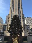 IMG_3573.JPG