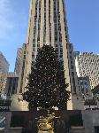 IMG_3574.JPG