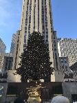 IMG_3580.JPG