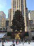 IMG_3583.JPG