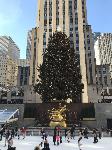 IMG_3584.JPG