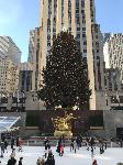 IMG_3585.JPG