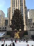 IMG_3586.JPG