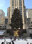 IMG_3587.JPG