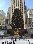 IMG_3588.JPG