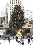 IMG_3606.JPG