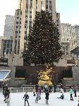 IMG_3617.JPG