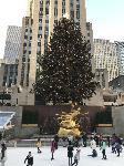 IMG_3618.JPG