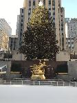 IMG_3644.JPG